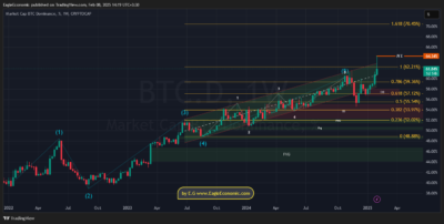 BTC.D 2025 02 08 14 19 19