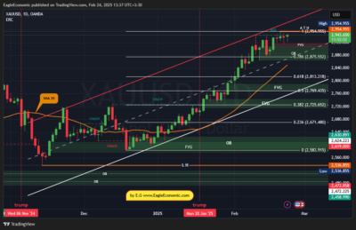 XAUUSD 2025 02 24 13 37 08